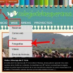 Galería de fotos